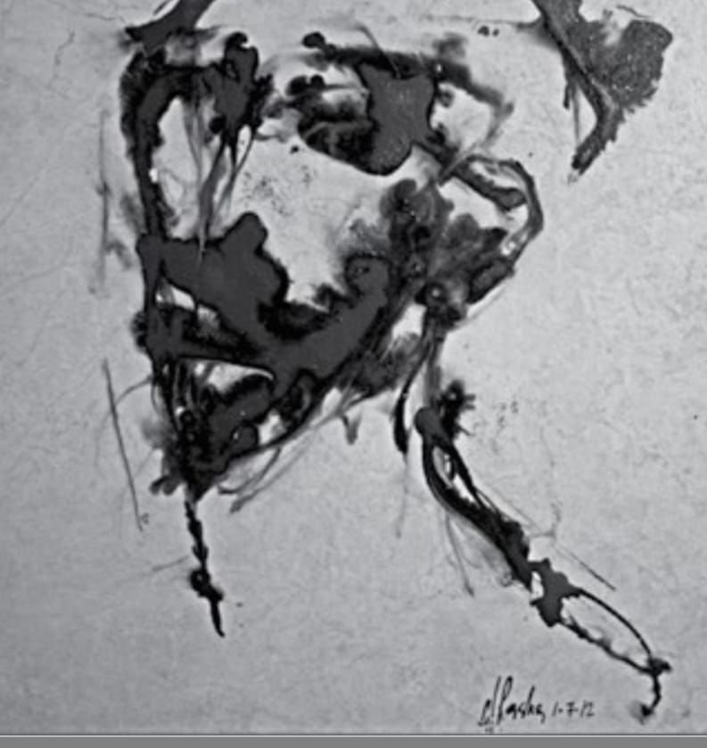 سيرة الجمهورية ومصادر شرعيتها