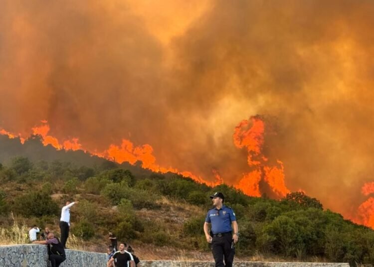 حرائق كبيرة في ريف اللاذقية والدفاع المدني “يقاتل” للسيطرة عليها