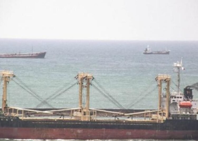 Ongoing Efforts to Secure Release of 16 Syrian Sailors After Cargo Ship Hijacking off Somalia’s Coast