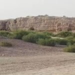 IMG_٢٠٢٦٠٦١٨_١٢٤٣٥٨