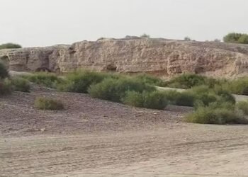 إنتاج 900 ألف غرسة مقاومة للجفاف لدعم استعادة الغطاء النباتي في البادية السورية