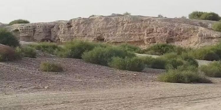 إنتاج 900 ألف غرسة مقاومة للجفاف لدعم استعادة الغطاء النباتي في البادية السورية