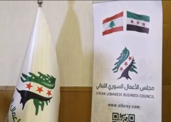 الشرع يبحث مع غروسي تعزيز التعاون النووي الطبي.. وافتتاح منظومة جديدة لعلاج السرطان في دمشق
